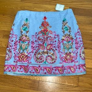 Boutique Embroidered Mini Skirt